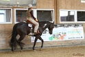 31-APHA OAWP_015